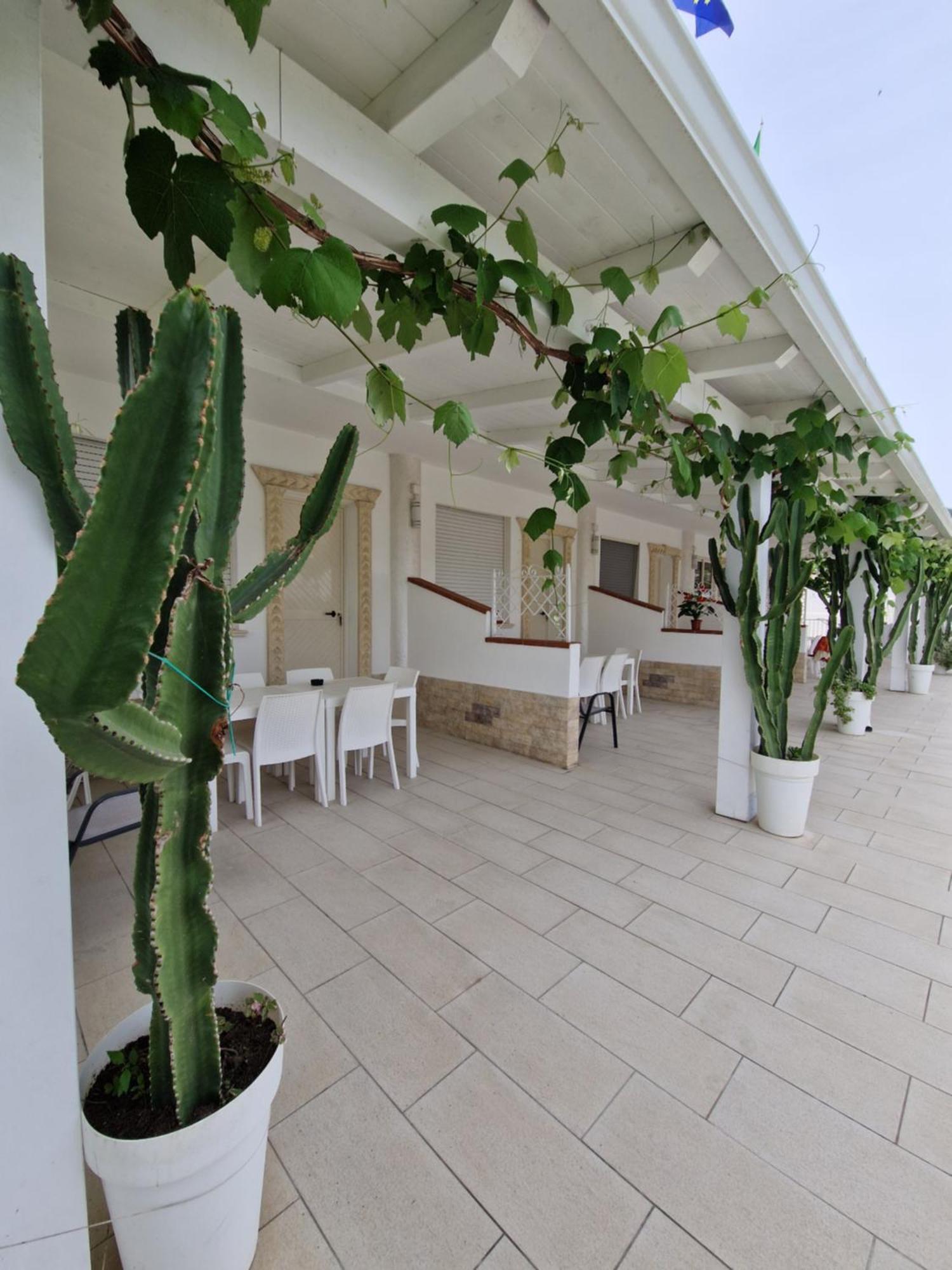 Santa Venere Apartments "Parcheggio Privato" Ricarica Auto Elettriche Tropea Exterior foto